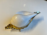Large Natural Sankha Conch Shell and brass stand set for Puja