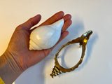 Large Natural Sankha Conch Shell and brass stand set for Puja