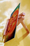 EXTRA THICK Gods and Goddesses Pocket Mantra Cards ***10 Designs***