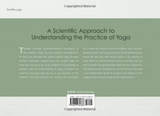 The key muscles of yoga