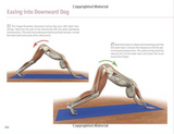 The key muscles of yoga