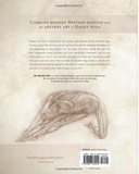 Anatomy for hip openers and forward bends