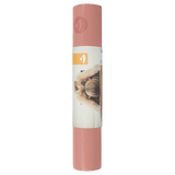 4 mm Non-Toxic Yoga Mat (4 colours)