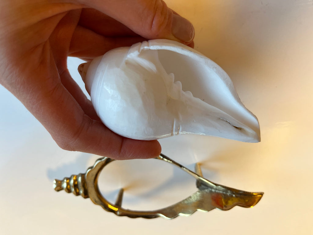 ASHIRWAD Garuda Shankhnaad - Grande Coquille De Conque Murex Ramosus 21,6 Cm Pour Rituel Puja Et Décoration