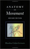 Anatomy of movement