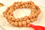Rudraksha mala (8mm beads)