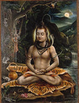 Mahadev Shiva Poster (22L)